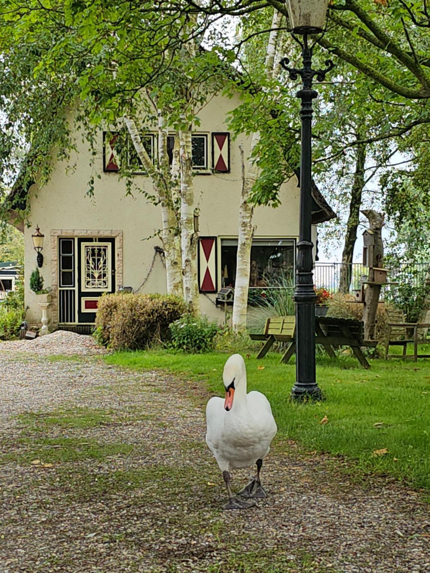 B&B Zusenzomer Oostwoud 外观 照片