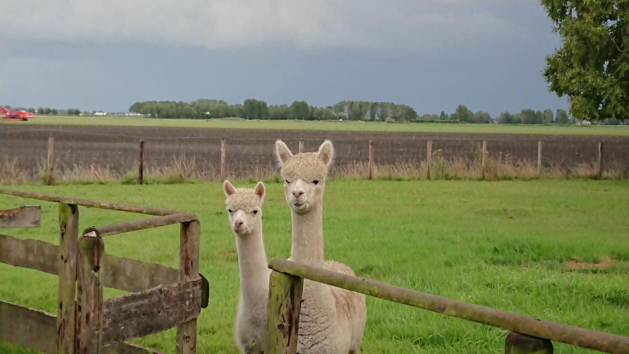 B&B Zusenzomer Oostwoud 外观 照片