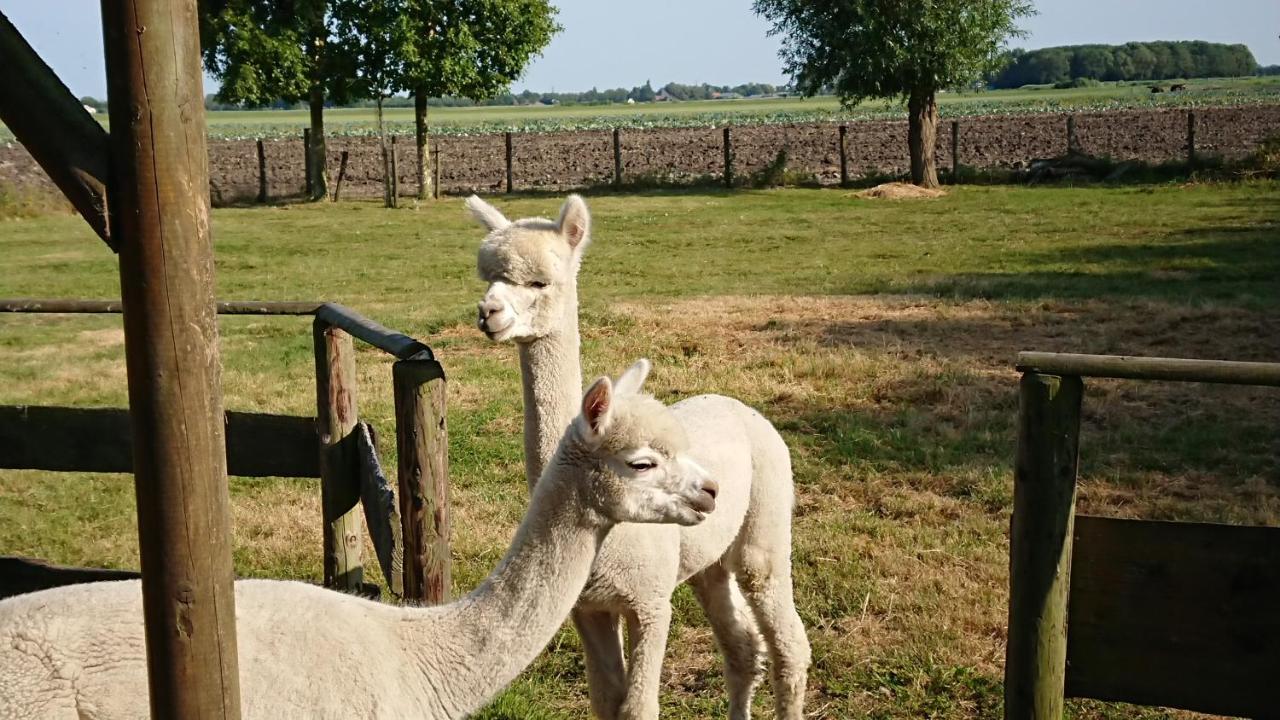 B&B Zusenzomer Oostwoud 外观 照片